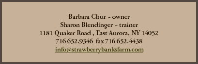  Barbara Chur ~ owner  Sharon Blendinger ~ trainer 1181 Quaker Road , East Aurora, NY 14052 716 652.9346 fax 716 652.4438 info@strawberrybanksfarm.com 